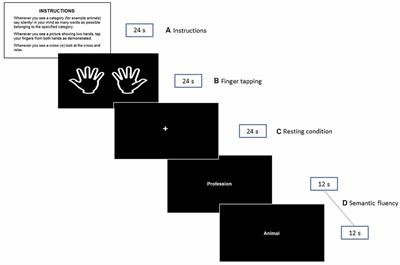 The Role of Moderating Variables on BOLD fMRI Response During Semantic Verbal Fluency and Finger Tapping in Active and Educated Healthy Seniors